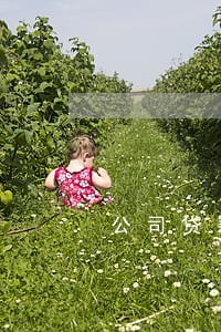 公司贷款逾期 法人 征信 公司贷款逾期 法人 征信